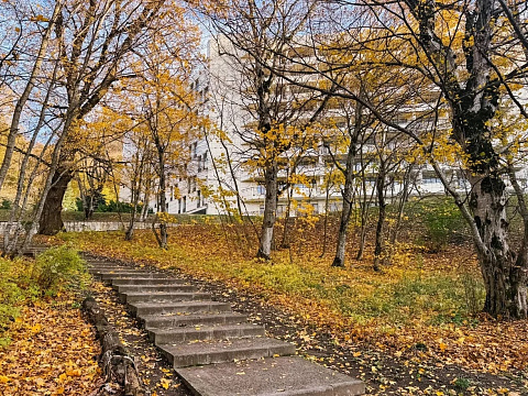Санаторий «Горный Воздух», Железноводск. Территория